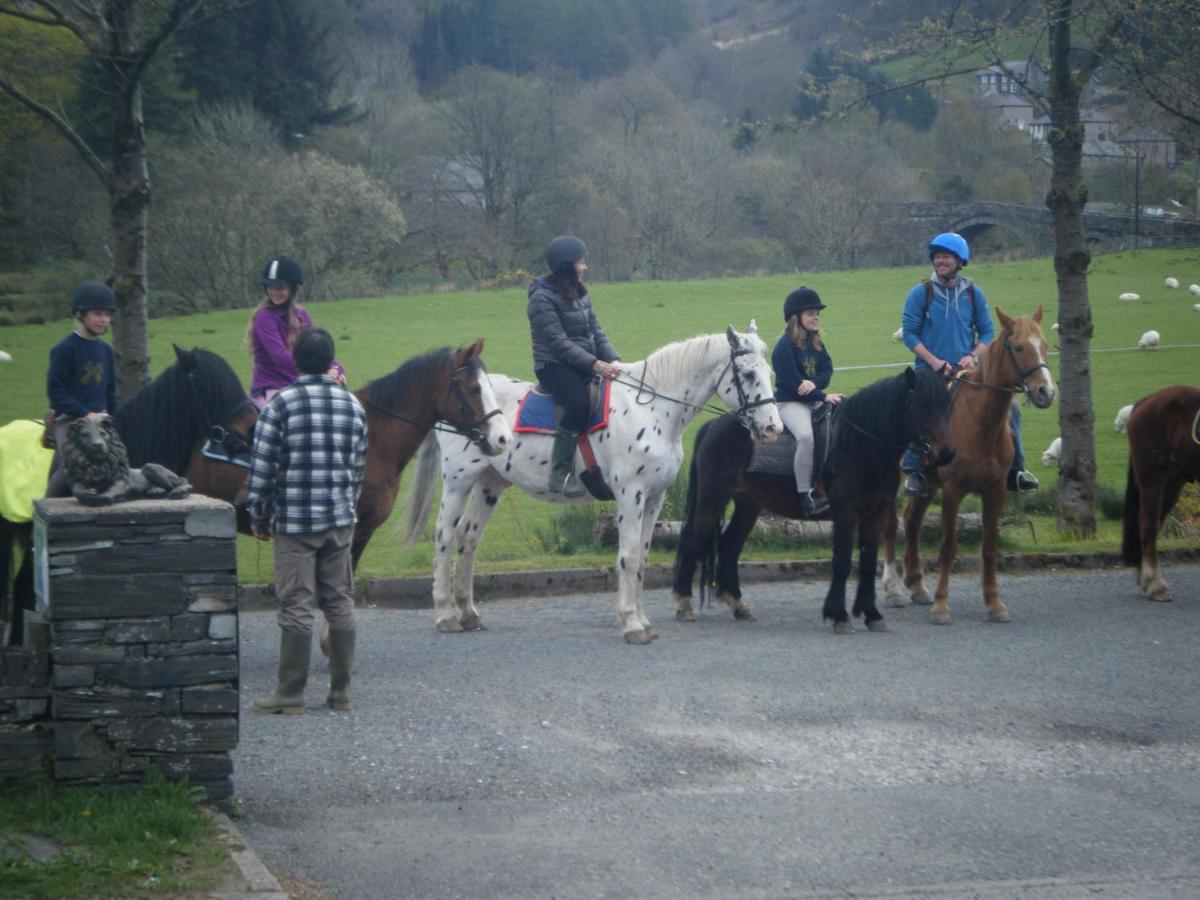 Elen'S Castle Hotel Dolwyddelan Esterno foto